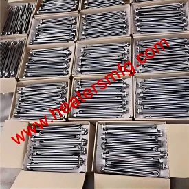 Bangladesh Customer 500pcs Immersion Water Heater Made Are Ready