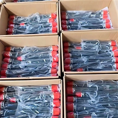 Bangladesh Customer 1000pcs Immersion Heater Made Are Ready