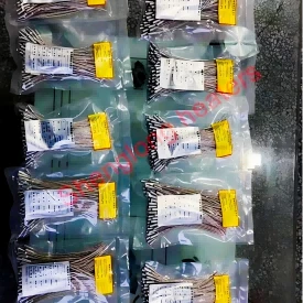 Israel Customers 200pcs Cartridge Heaters 2.5*30mm Made Are Ready
