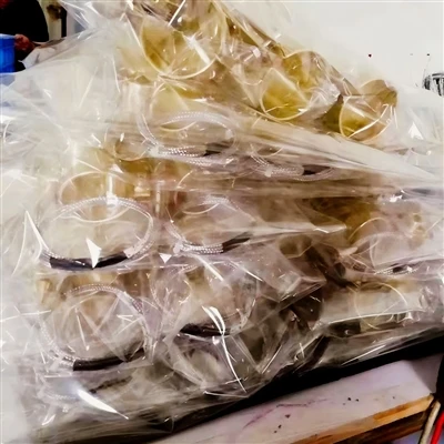 The Australia Customer 100pcs Sealed Brass Band Heater Made Ready