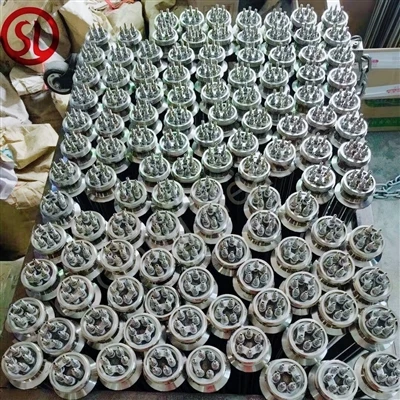 The Thailand Customers 500pcs Immersion Heaters Made Ready